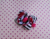 Zebra/Shocking Pink Basic Bow