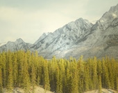 Canadian Rockies Photography Print 11x14 Fine Art Banff Canada Mountain Snow Forest Landscape Photography Print.