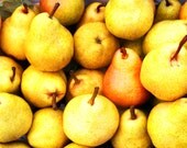 Yellow pears photo 20x25cm (8x10 inch) Kitchen decor Harvest Cooking Fruit photography Yellow wall decor