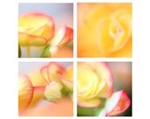 Pastel flowers Set of 4 prints 8"x8" or 5"x5" Yellow Pink Peach Romantic photography Freshness