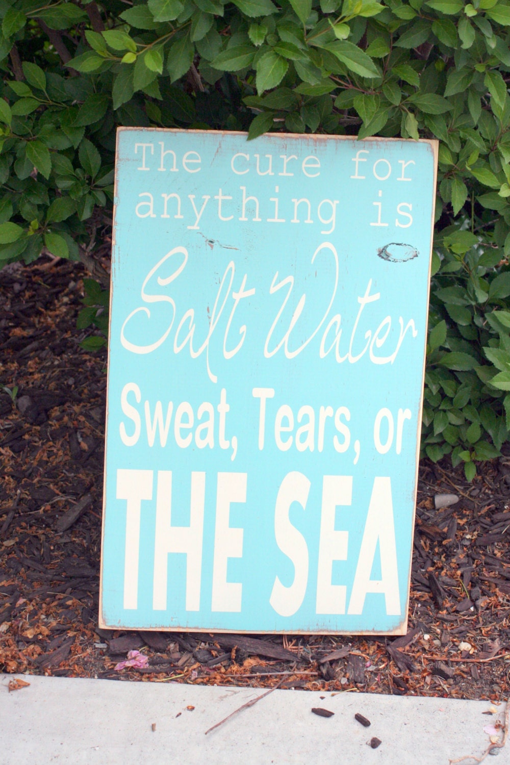 The cure for anything is SALTWATER quote hand painted wood sign