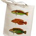 Fish Group 01 Eco Friendly Canvas Tote Bag (isl054)