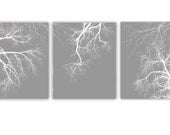 Trees Set 3 Prints 8x10 inch Modern Tree Print Branch