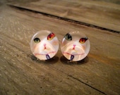 GLASS STUDS - Cats Eye