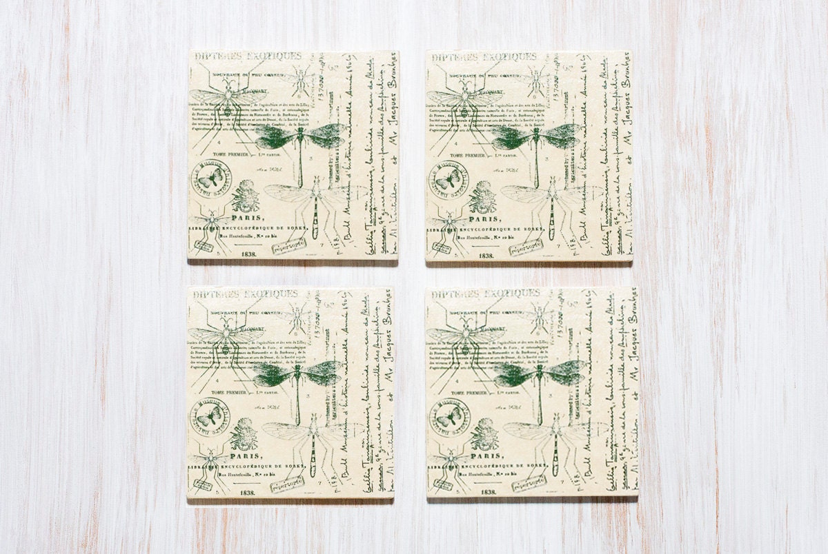 Natural History Coasters, Nature Art, Wooden Coasters, Science Art Gift For Him, Gift for Her - MyHouseOfDreams