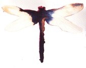black and white gold dragonfly. original watercolour painting