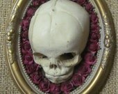 Fetal Skull Floral Baroque Framed Curiosity