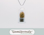 Real Living Tiny Texas Windowsill Cactus Plant Necklace with Ballchain