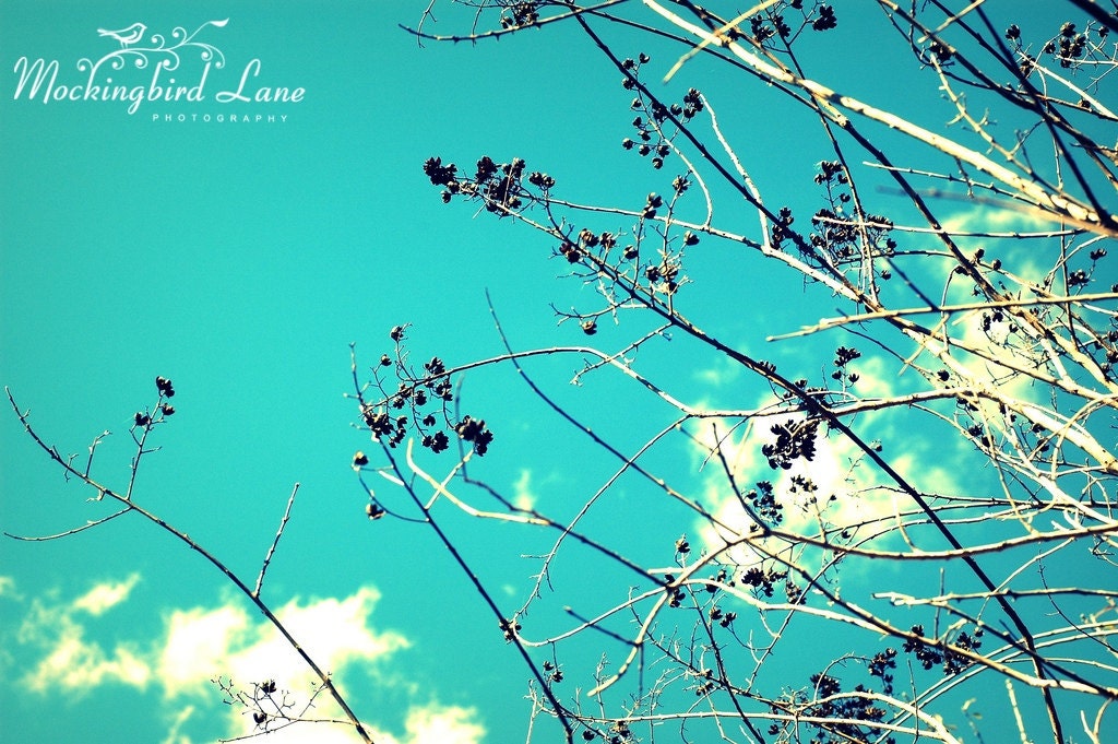 Fine Art Photography Print - Turquoise Sky, 4x6