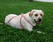DIAMOND in PINK Dog Step-in Harness HANDMADE