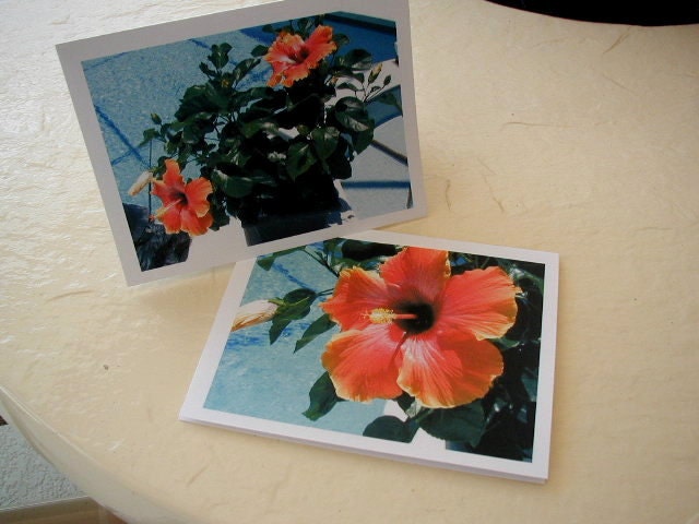 Note Cards -  Beautiful Hibiscus - Set of 10 different  ones -  Personalized Free