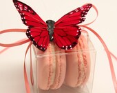 Red Butterfly Favor Box