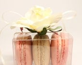 Macaron Favor Box