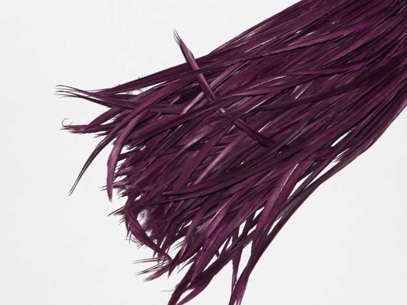 24cm piece of Aubergine Goose Biots on a fringe - approx 40-50 feathers