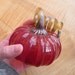Glass Pumpkin by Jonathan Winfisky - Deep Garnet Red