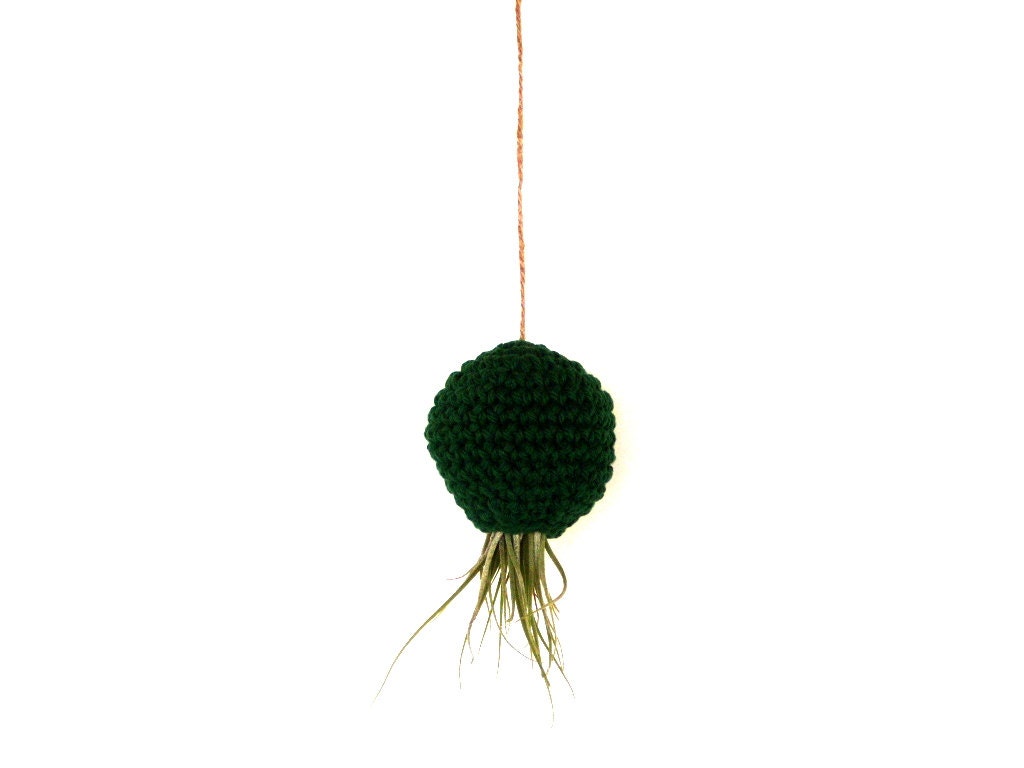 Hanging Container For Kolbiie Air Plant - Emerald Green