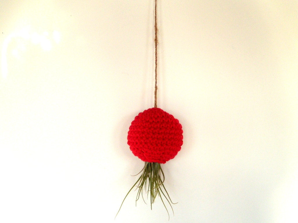 Hanging Container For Kolbii Air Plant - Red