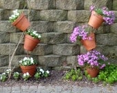 Vertical Annual Flower Garden - Container Gardening - Small Space Vertical Garden - Urban Garden