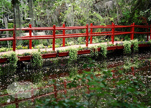Red Bridge- Magnolia Plantation South Carolina- Landscape Photography- Southern Charm- Water Reflection- 5x7 Fine Art Print