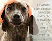 Dog Dachshund Pet Humor, George Bernard Shaw, fashion, shoes, heels, hat, inspirational quote, Orange fruit, stripe, cream black brown,8x10