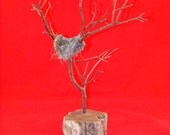 Bird Nest in a Tree Decoration