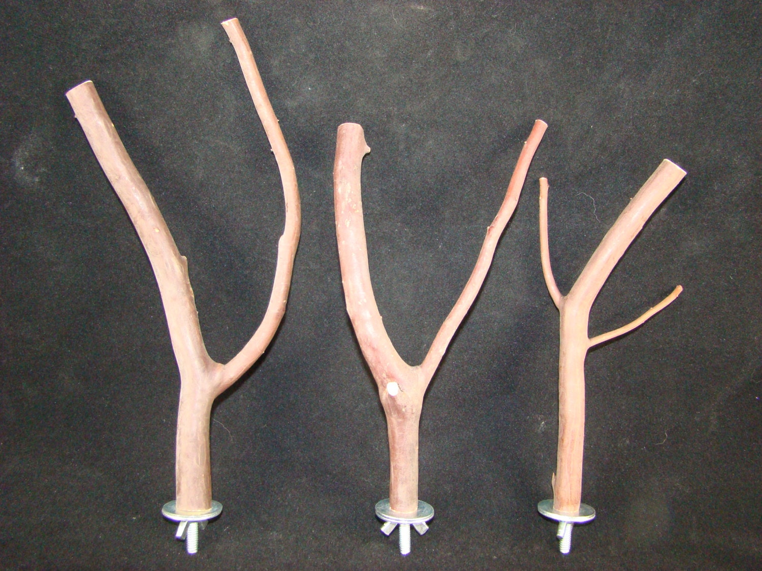 Manzanita Multibranch Bird Perches, Set of Three with Hardware