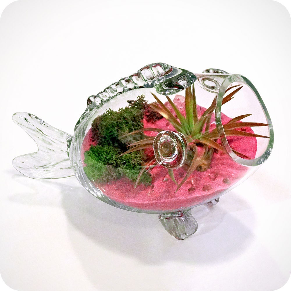LUCKY FISH ROSE terrarium - feng shui terrarium, sand glass terrarium, home decor, positive chi gifts, mothers day gifts, mothers day