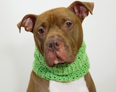 Green Dog Cowl Crochet for Large Breeds