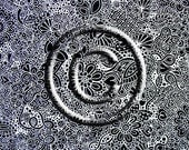 OOAK Beautiful Hand Drawn Zentangle Inspired 12" x 12" Zendoodle Drawing Acid Free Lignin Free Chalk Stock using White India Ink By Kat