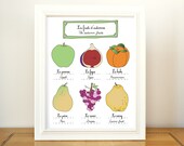 Kitchen Art Autumn Fruits 11x14 giclee art print of original illustration home decor French Kitchen Food farmer's market botanical chart
