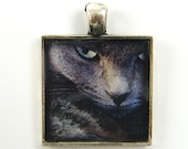 Cat Pendant, Gray Cat Charm, Photo Pendant, Nature Jewelry, Black Silver Fierce Cat Pendant, Cat Jewelry - CharleneSevier