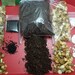 Terrarium Rock Soil Kit DIY