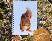 Red Squirrel A5 Journal Available in Lined or Cartridge Paper