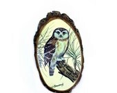 20% OFF SALE Owl Wall Hanging, Vintage 1960s Lacquered Wood Utah Travel Souvenir