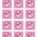 DIY Printable Birthday Girl Custom Iron on Transfer -- Personalized Design - Owl