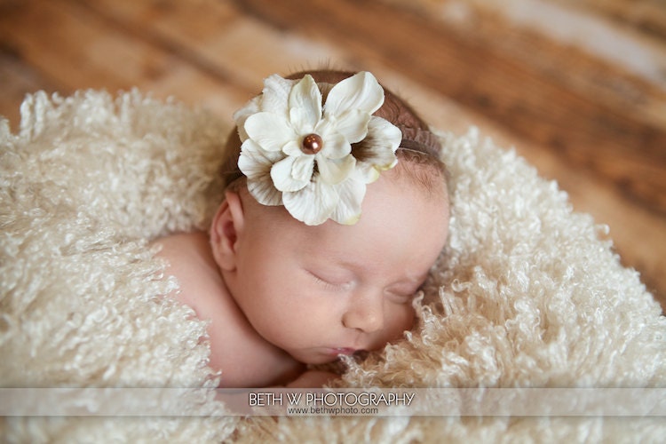 newborn photography prop - Newborn baby girl brown lace elastic headband with cream flower -photo prop-baby shower gift