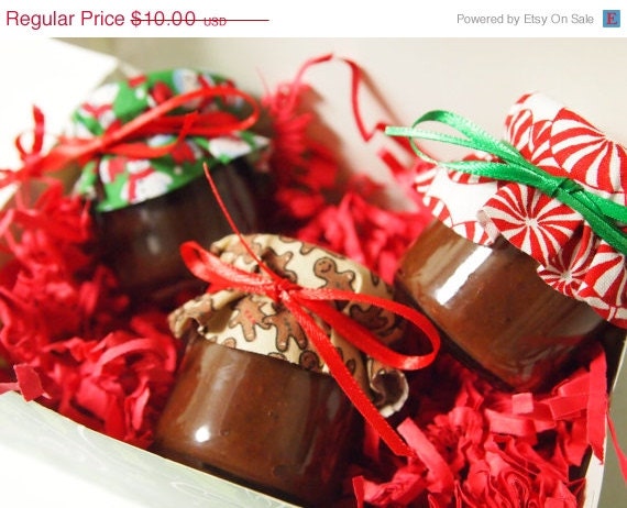 ON SALE 15% off Christmas Card Upgrade - Christmas Jar Applebutter Variety Gift Set Il_170x135
