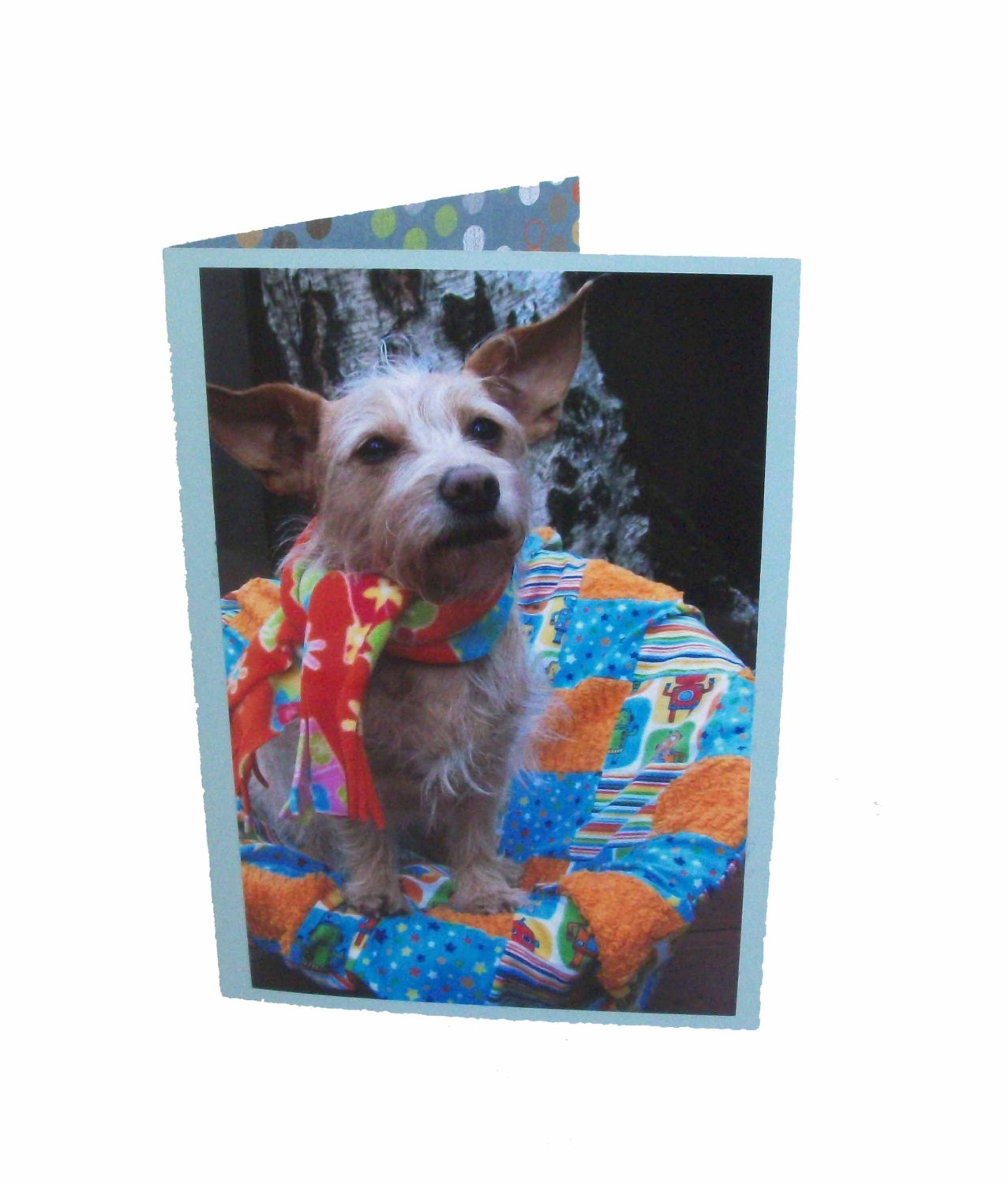 Dog greeting card, pet greeting cards, blank funny greeting cards