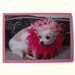 Princess greeting card, Chihuahua greeting card, Blank dog card