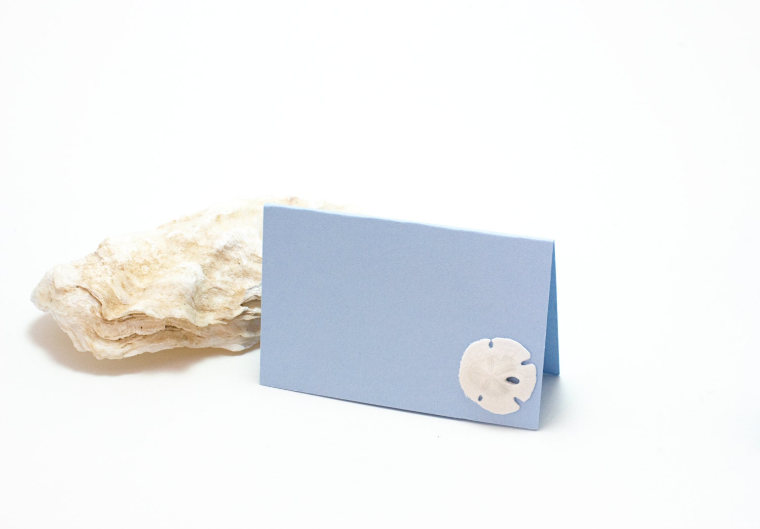 Powder Blue Note Card - Mini Sand Dollar Note Card