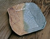 nautilus shell handmade soap dish