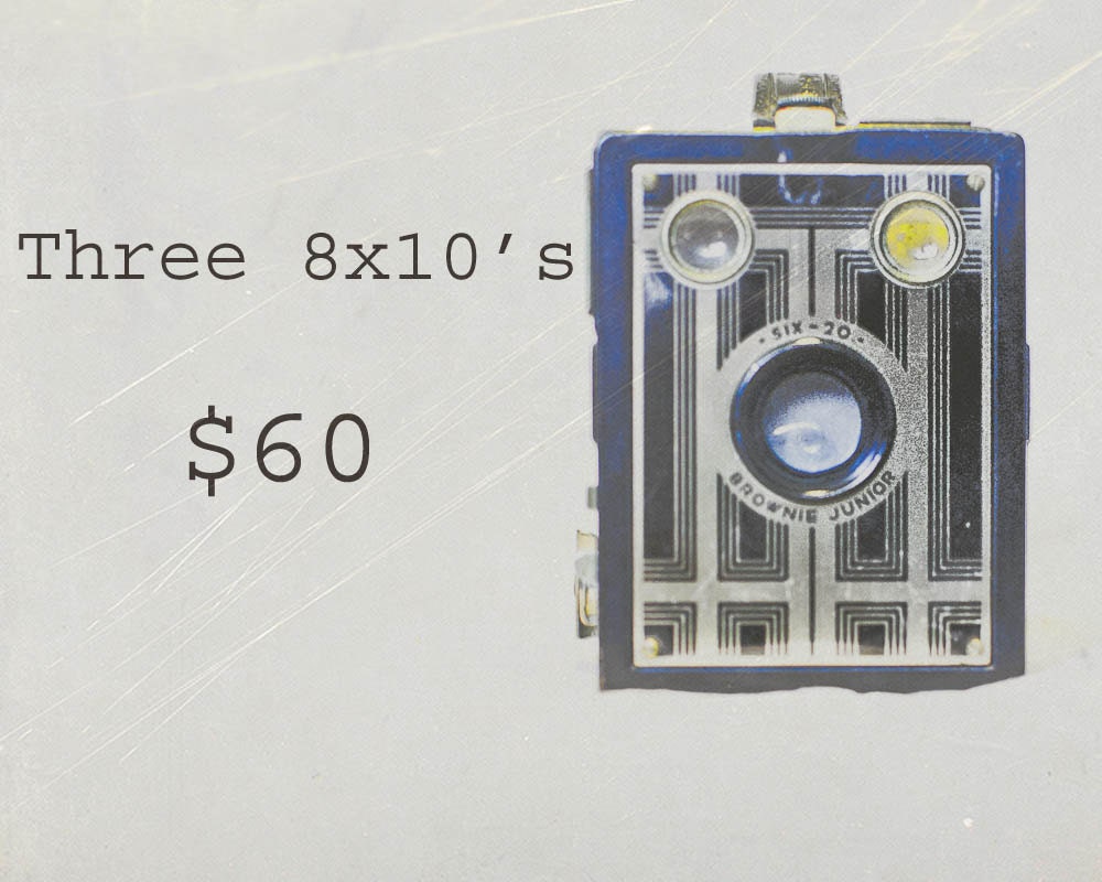 Custom Photo Prints-  Three 8 x 10's