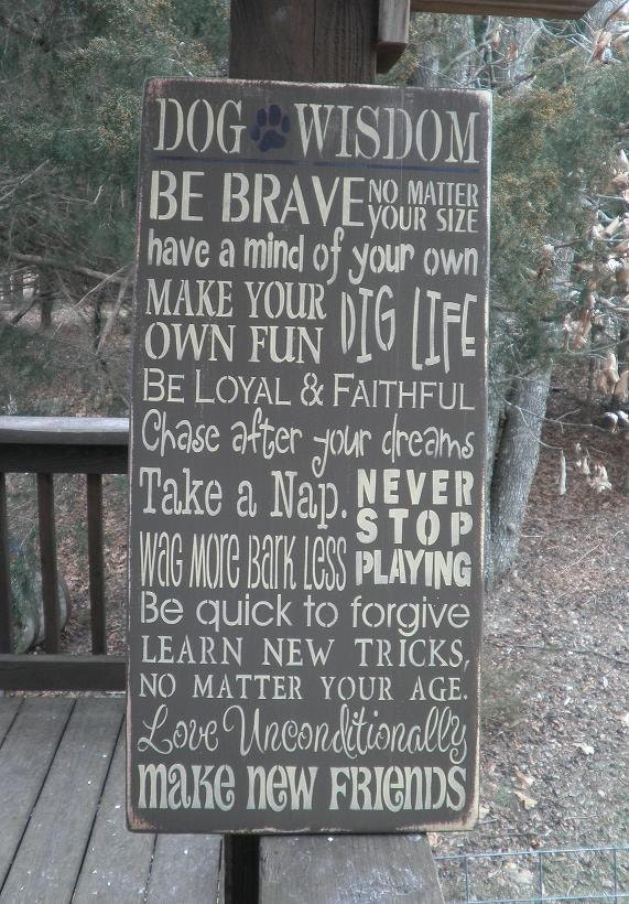 humorous pet sign. pet lover sign,  Dog wisdom sign, dog sign