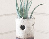 oreo hanging mini planter