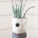 oreo hanging mini planter
