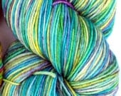 PHAT FIBER APRIL 2013: Kettle Dyed Sock Yarn, Superwash Merino and Nylon 75/25 Fingering Weight, in "Giverny"