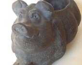 This Piggy Went To Market