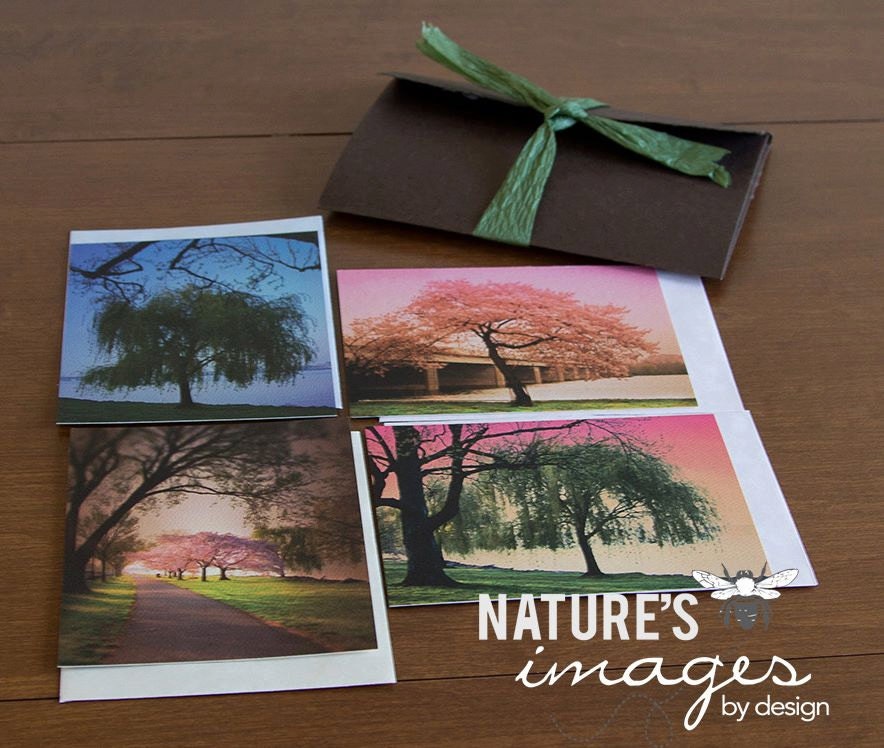 Spring Trees Cards, Flat Note Cards, Springtime Flat Note Cards Collection, 8 Note Cards, 8 Tree Cards, 4X5.5 Flat Cards