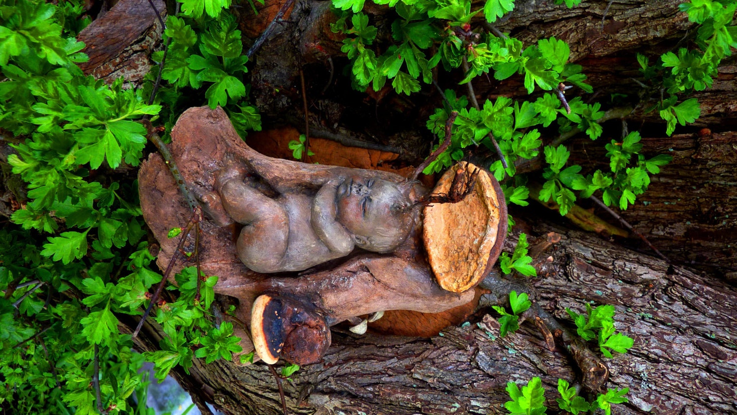 Forest Baby Slepping in The Woods, Wild Mushrooms Keep The Rain Off
