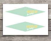 Baby Shower Mini Pennant Flags "Hooray for Baby" Mint and Yellow